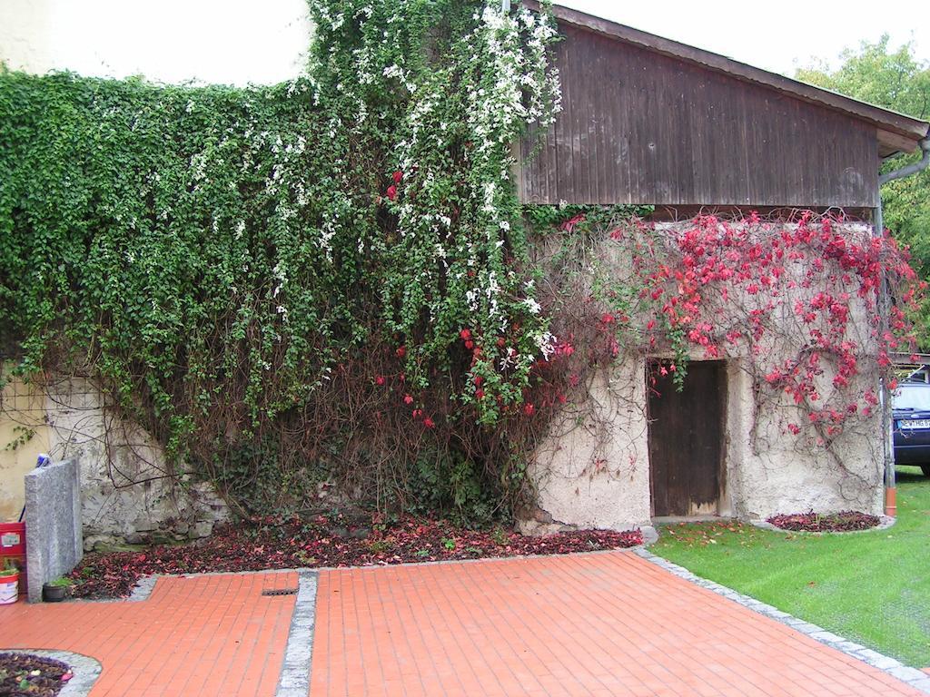 Domizil Hotell Moosbach  Exteriör bild